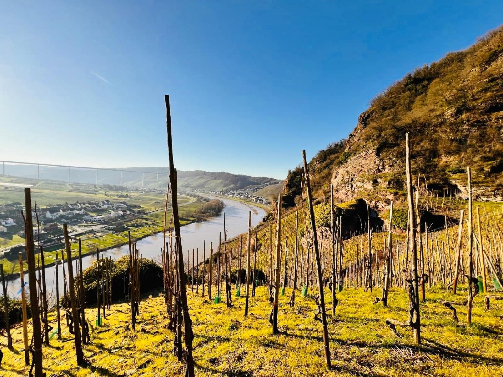 Gut Foersterlay - Exklusive Boutique Apartments Im Historischen Winzerhaus Direkt An Der Mosel Lösnich Εξωτερικό φωτογραφία