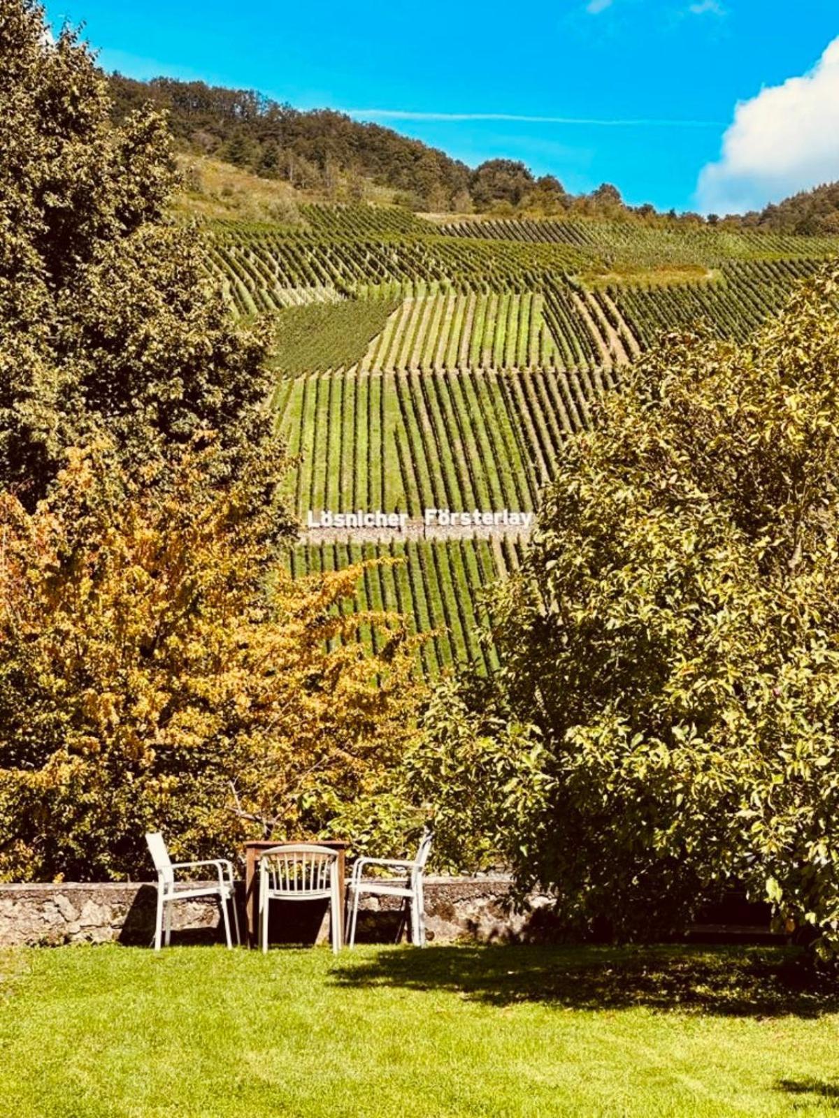 Gut Foersterlay - Exklusive Boutique Apartments Im Historischen Winzerhaus Direkt An Der Mosel Lösnich Εξωτερικό φωτογραφία